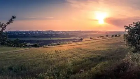 Campo com rio e vegetação